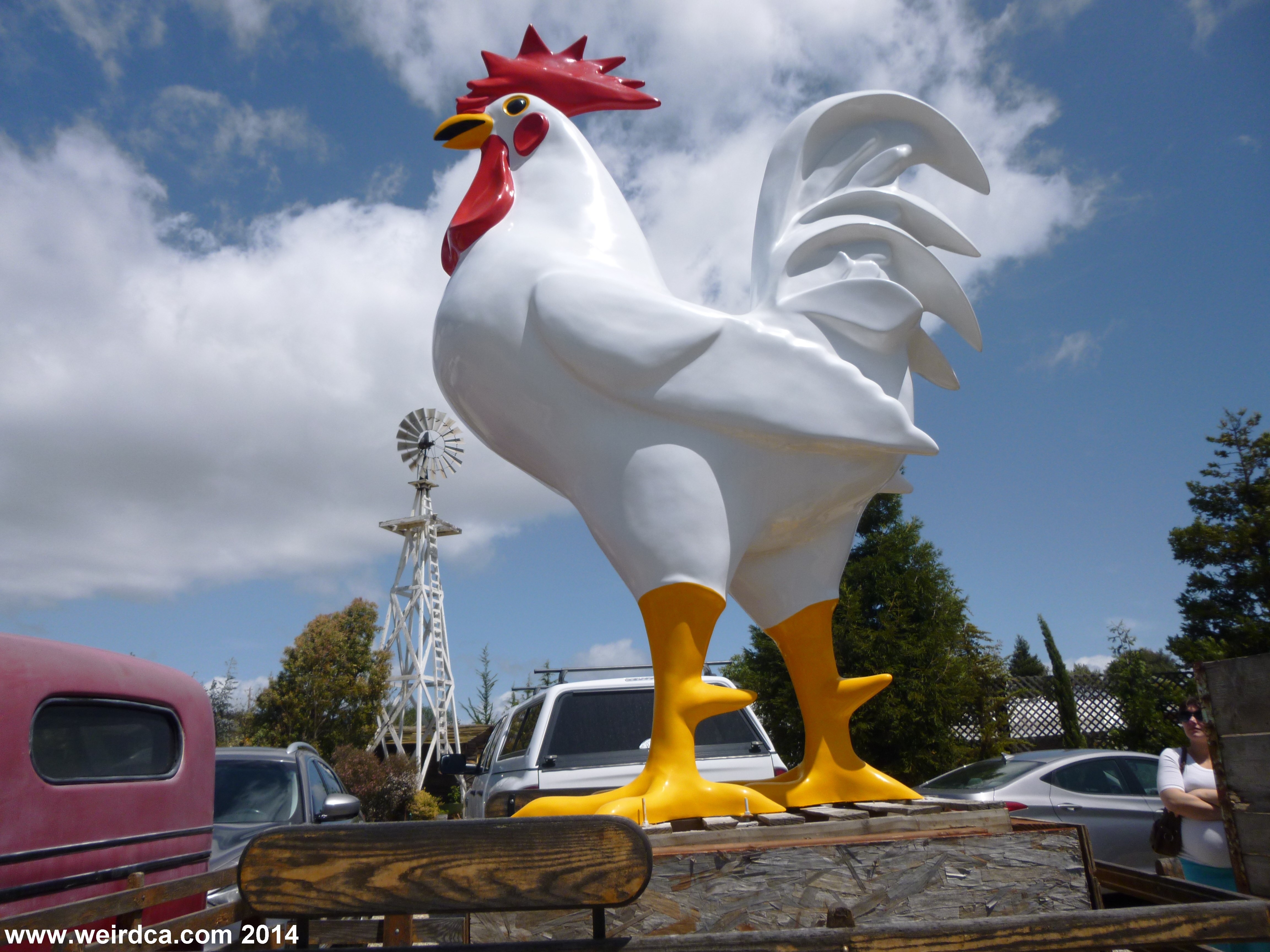 International Fiberglass also made Giant Chickens!