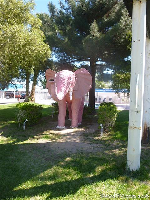 pinkelephant05