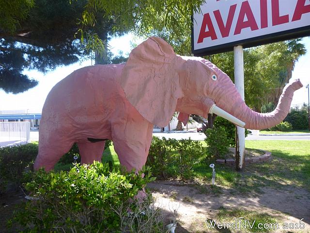 pinkelephant08