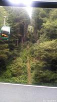 On the SkyTrail