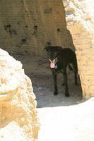 Ruby investigates one of the kilns on her own