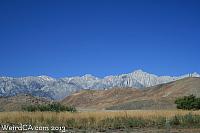 A bestial monster stalks the mountainous Sierra Nevadas