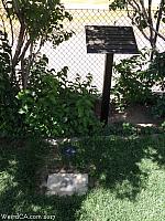 Avelino Martinez's grave site in Tehachapi's Westside Cemetery