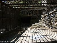 Cages at the Old LA Zoo