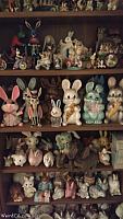 bunny museum118