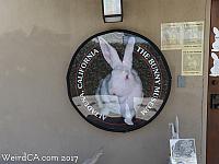 bunny museum18