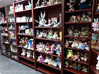 The Bunny Museum