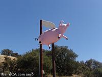 Flying Pig of Topanga