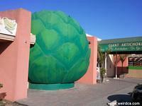 Giant Artichoke