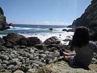 partington cove155