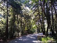 The Road to Pfeiffer Beach