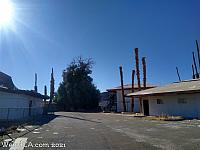 arnes003