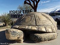 Murtle the Turtle in Joshua Tree
