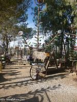 Elmer's Bottle Tree Ranch