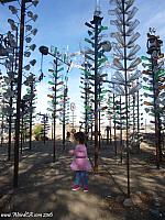 Tiffany exploring the Bottle Tree Ranch