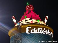 Eddieworld at Night