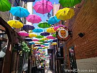 orange alley026