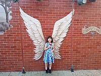  Hannah's Wings