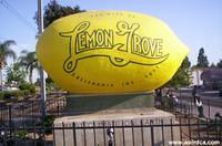 The Giant Lemon of Lemon Grove - Best Climate on Earth