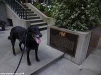 Ruby pays respect to San Francisco's legendary Bummer and Lazarus.