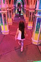 Magowan's Mirror Maze