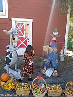scarecrows 2020 045