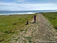 cayucos shipwreck006