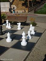 A bunch of the white pieces from the Morrow Bay Chess Set