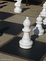 A white bishop, part of the Morro Bay Chess Set