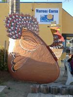 Chamber of Commerce Clam - Thanksgiving