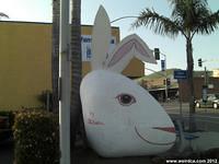 Chamber of Commerce Clam - Easter