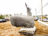 This homeless whale currently hangs out in an empty lot in Pismo Beach