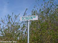 Octagon Way