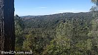 rinconada mine169