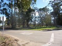 Under the eucalyptus and often in Pioneer Park, one can find the murdered spirit.