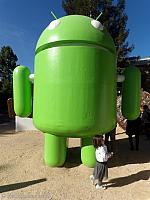 The Android Robot