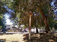 Frontier Village Birdhouses