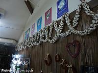 World's Longest Garlic Braid