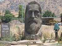 The Head of John Muir