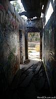 scarydairy70