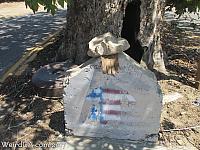 The Sycamore Tree at the end of Sycamore Road