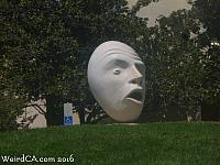 An Egghead at UC Davis