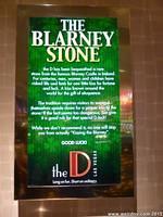 The Blarney Stone at The D