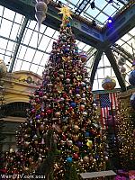 Bellagio Conservatory