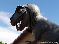 Dinosaur House