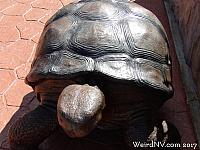 Large turtles stand in each corner of the driveway.