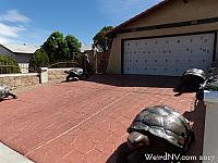 A welcoming garage at the Dinosaur House!