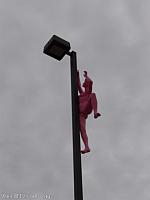 Top of the Light Poles