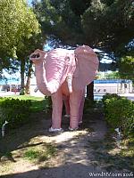 The Pink Elephant