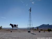 Giant cow with weather vane.